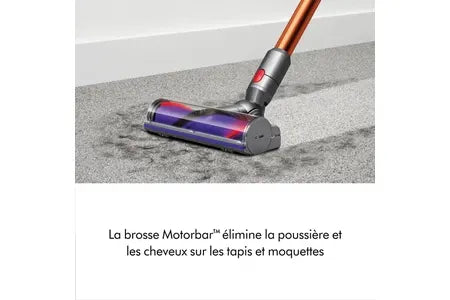 Aspirateur Dyson Cyclone V10 Absolute